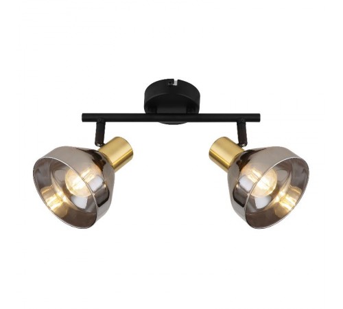 Светильник настенно-потолочный спот Kinge 7036-702 2 х E14 40 Вт поворотный  Б0052875  Rivoli