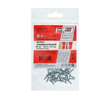 Саморез ШУц 3,0х12 пот. гол. (40 шт) - пакет ( 0,021 кг)  102408  Tech-KREP