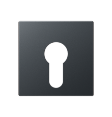 Крышка для выключателя с замком; матовый антрацит  A525PLANM  Jung