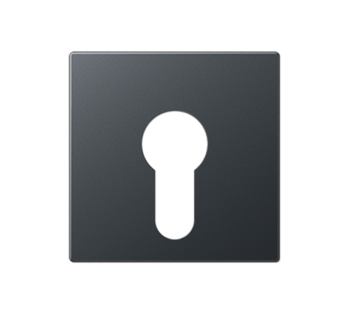 Крышка для выключателя с замком; матовый антрацит  A525PLANM  Jung