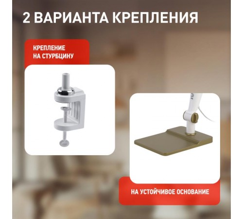 Светильник настольный NLED-497-12W-G светодиодный на струбцине и с основанием золото  Б0052773  ЭРА