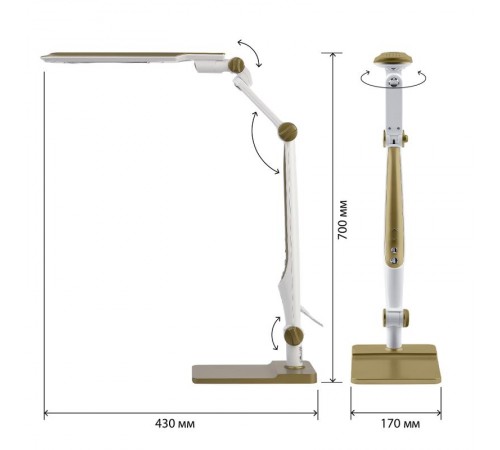 Светильник настольный NLED-497-12W-G светодиодный на струбцине и с основанием золото  Б0052773  ЭРА