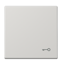 Клавиша с символом "ключ" LS990TLG Jung