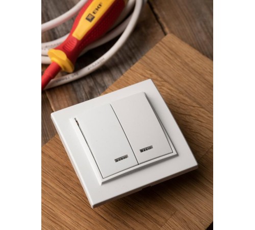 Минск Выключатель 2-клавишный СП с индикатором,10А, белый EKF Basic  ERV10-123-10  EKF