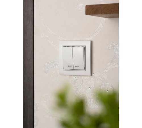 Минск Выключатель 2-клавишный СП с индикатором,10А, белый EKF Basic  ERV10-123-10  EKF