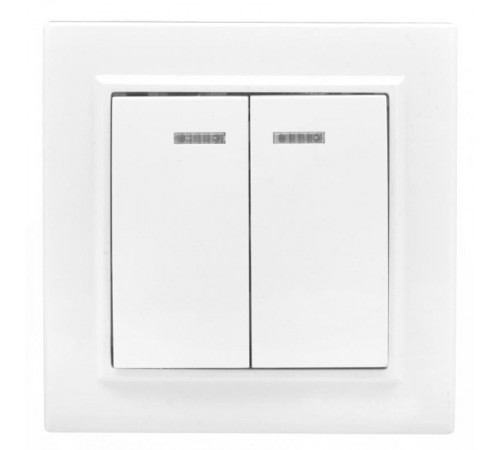 Минск Выключатель 2-клавишный СП с индикатором,10А, белый EKF Basic  ERV10-123-10  EKF