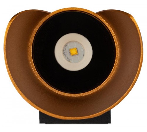 Декоративная подсветка WL42 BK+GD светодиодная 10Вт 3500К черный/золото IP54 для интерьера, фасадов зданий  Б0054420  ЭРА