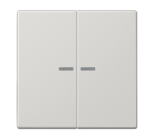 Клавиша для KNX кнопки, 2 группы, с окошком; дюропласт; светло-серый  LS102KO5LG  Jung