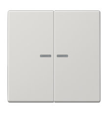Клавиша для KNX кнопки, 2 группы, с окошком; дюропласт; светло-серый  LS102KO5LG  Jung