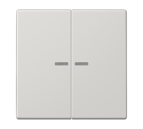 Клавиша для KNX кнопки, 2 группы, с окошком; дюропласт; светло-серый  LS102KO5LG  Jung
