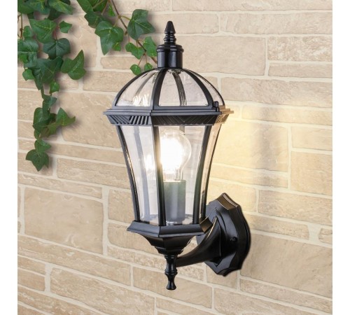 Светильник садово-парковый Capella черный настенный  a024994  Elektrostandard