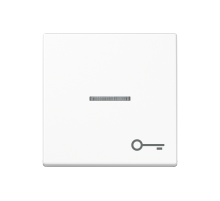 Клавиша с символом двери с подсветкой A590BFKO5TWW Jung