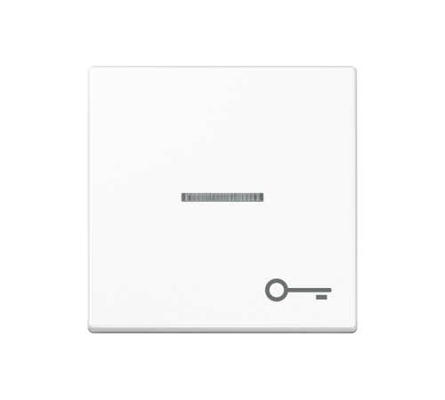 Клавиша с символом двери с подсветкой A590BFKO5TWW Jung