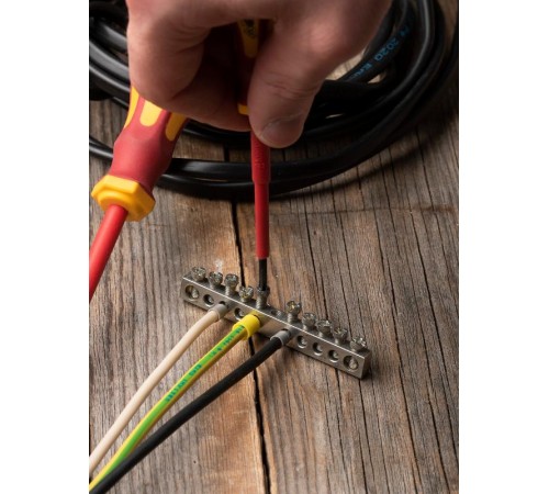 Шина "PE" 63.10 (никель) EKF PROxima  sn1-63-10  EKF