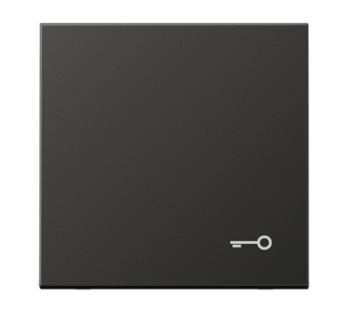 Клавиша с символом "замок"; антрацит  AL2990TAN  Jung