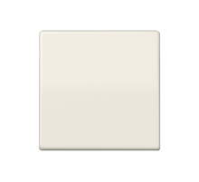 Центральная плата стандарт AS1700 Jung