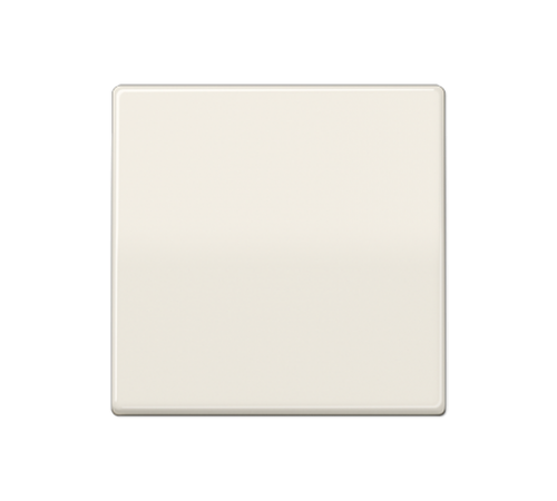 Центральная плата стандарт AS1700 Jung