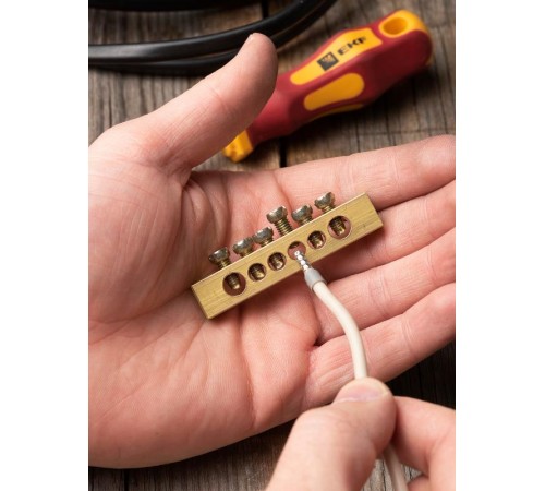 Шина PEN "ноль-земля" (8х12мм) 6 отверстий латунь крепеж по краям EKF PROxima  sn0-125-6-k  EKF