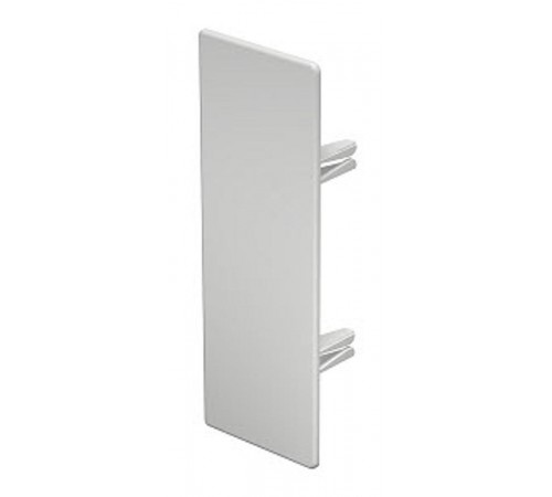 Торцевая заглушка кабельного канала WDK 60x170 мм (ПВХ,белый) (WDK HE60170RW)  6193331  OBO Bettermann