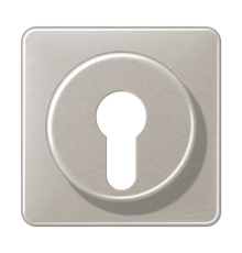 Крышка для выключателя с замком; платина  CD528PT  Jung
