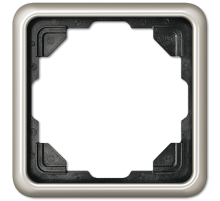 Рамка для вертикальной и горизонтальной установки, 1 пост; металл; платина; CD500  CD581PT  Jung