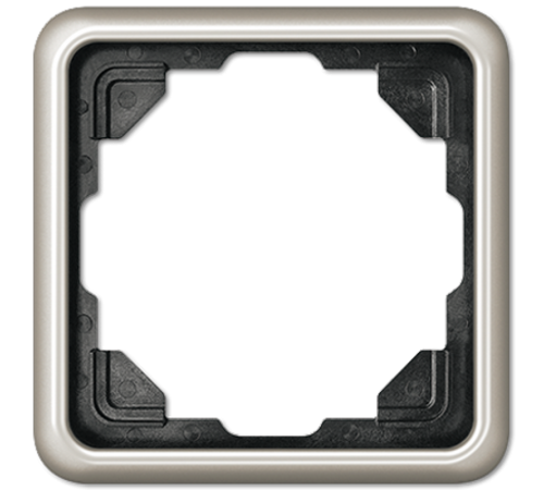 Рамка для вертикальной и горизонтальной установки, 1 пост; металл; платина; CD500  CD581PT  Jung