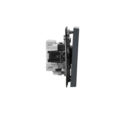 ArtGallery Грифель Выключатель 1-клавишный кнопочный с подсветкой, 10А, механизм  GAL000716  SE