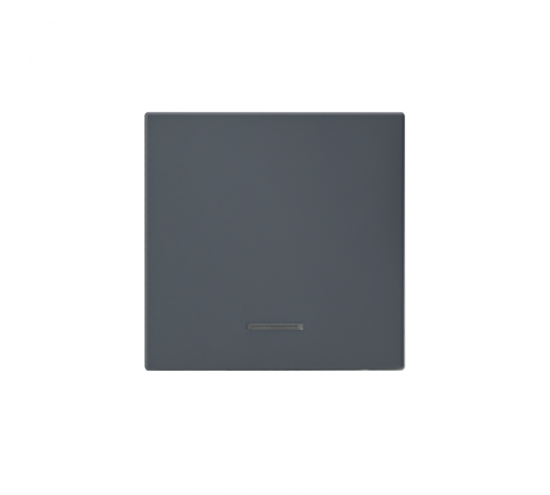 ArtGallery Грифель Выключатель 1-клавишный кнопочный с подсветкой, 10А, механизм  GAL000716  SE