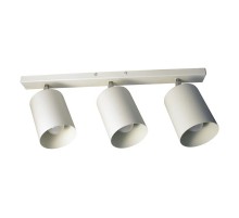 Светильник "Спот" НПБ 01-3х60-513 бел.матовый/белый  1005404515  Элетех