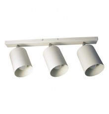 Светильник "Спот" НПБ 01-3х60-513 бел.матовый/белый  1005404515  Элетех