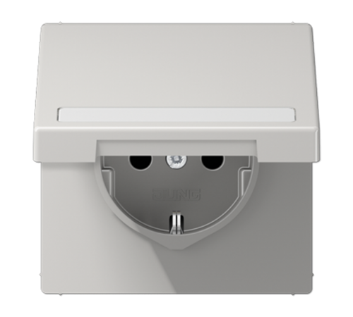 SCHUKO розетка с полем для надписи и крышкой LS1520BFNAKLLG Jung