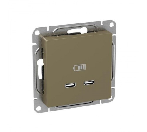 Механизм розетки USB-C - 2шт, шампань Эпика  UP1-SOC-2USBC EKF