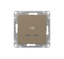 Механизм розетки USB-C - 2шт, шампань Эпика  UP1-SOC-2USBC EKF