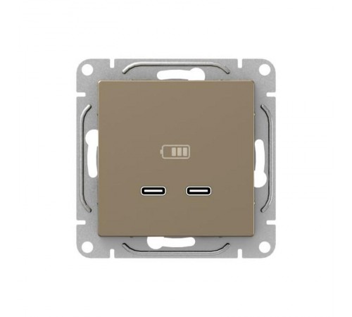 Механизм розетки USB-C - 2шт, шампань Эпика  UP1-SOC-2USBC EKF