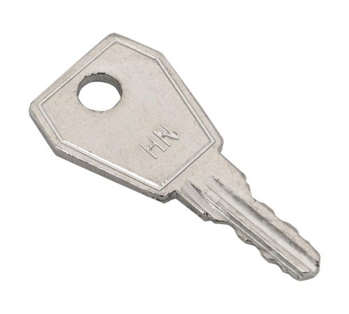 Ключ для пластикового замка к ЩРН (арт. lock-shrn-ip31) EKF PROximakey-4EKF