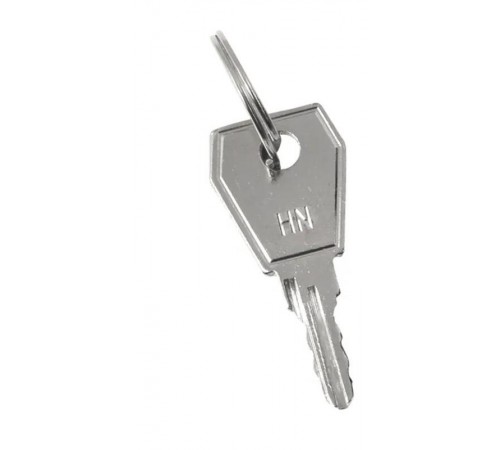 Ключ для пластикового замка к ЩРН (арт. lock-shrn-ip31) EKF PROximakey-4EKF