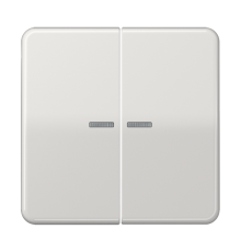 Клавиши для сдвоенных выключателей с подсветкой; светло-серые  CD595KO5LG  Jung