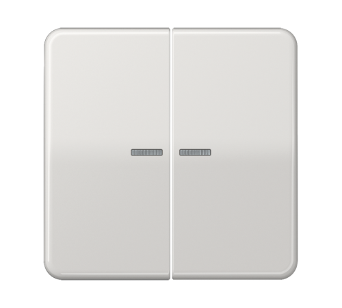 Клавиши для сдвоенных выключателей с подсветкой; светло-серые  CD595KO5LG  Jung