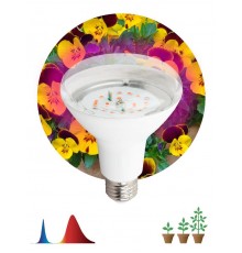 Лампа светодиодная фито для растений 16Вт E27 красно-синий спектр FITO-16W-RB-E27-K  Б0039072  ЭРА