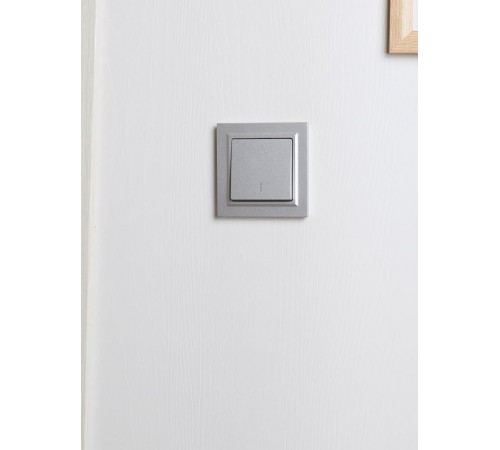 BRITE Рамка 1-ая IP44 РУ-1-БрА-44 алюминий   BR-M12-44-K47  IEK