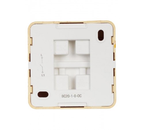 ОКТАВА сосна Выключатель 1-клавишный О/У 10А ВС20-1-0-ОС  EVO10-K03-10-DC  GENERICA