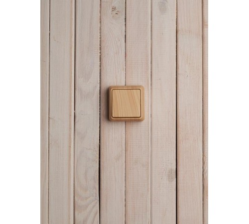 ОКТАВА сосна Выключатель 1-клавишный О/У 10А ВС20-1-0-ОС  EVO10-K03-10-DC  GENERICA