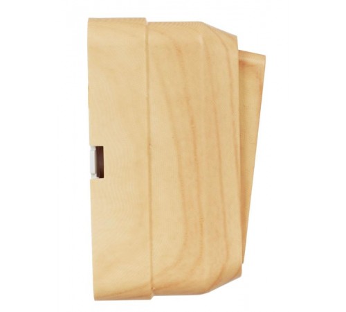 ОКТАВА сосна Выключатель 1-клавишный О/У 10А ВС20-1-0-ОС  EVO10-K03-10-DC  GENERICA