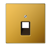 Крышка для одинарной телефонной и компьютерной розетки UAE; золото  LS969-1UAGGO  Jung