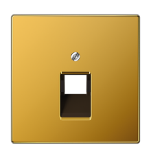Крышка для одинарной телефонной и компьютерной розетки UAE; золото  LS969-1UAGGO  Jung