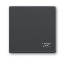 Клавиша для механизма 1-клавишного выключателя, c символом ""СВЕТ"" Future/Axcent/Carat/Династия, антрацит  2CKA001751A3186  ABB