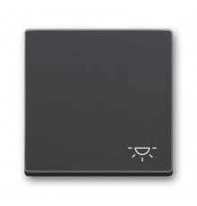 Клавиша для механизма 1-клавишного выключателя, c символом ""СВЕТ"" Future/Axcent/Carat/Династия, антрацит  2CKA001751A3186  ABB