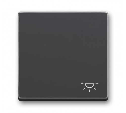 Клавиша для механизма 1-клавишного выключателя, c символом ""СВЕТ"" Future/Axcent/Carat/Династия, антрацит  2CKA001751A3186  ABB