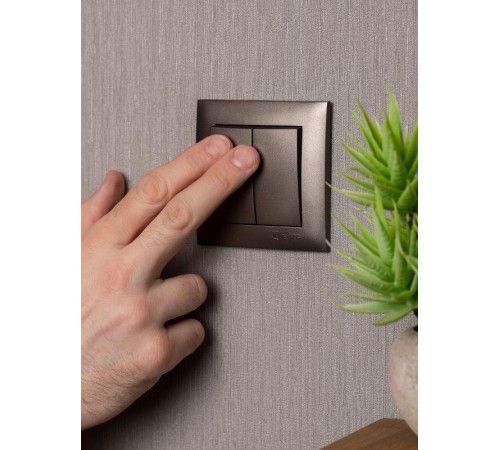 Валенсия лицевая панель выключателя 2-кл. 10А графит EKF PROxima   ESV10-L-023-60   EKF