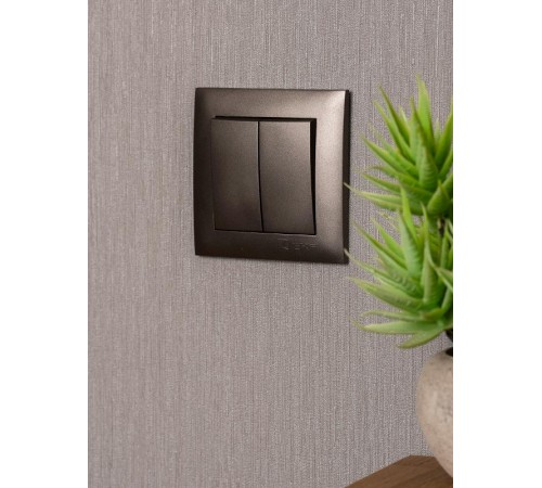 Валенсия лицевая панель выключателя 2-кл. 10А графит EKF PROxima   ESV10-L-023-60   EKF